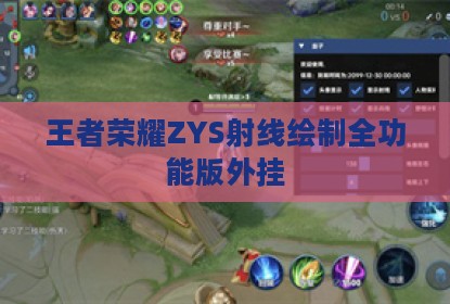 王者荣耀ZYS射线绘制全功能版外挂