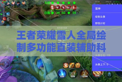 王者荣耀雪人全局绘制多功能直装辅助科技