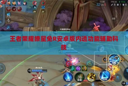 王者荣耀撩星免R安卓版内透功能辅助科技