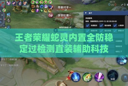 王者荣耀蛇灵内置全防稳定过检测直装辅助科技
