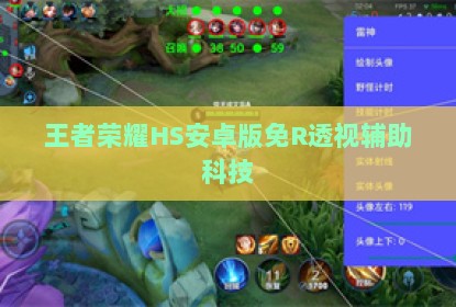 王者荣耀HS安卓版免R透视辅助科技
