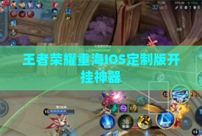 王者荣耀重海IOS定制版开挂神器