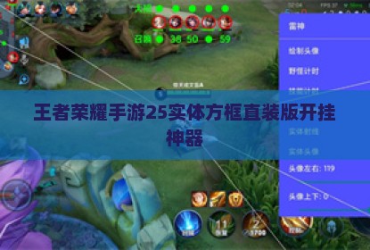王者荣耀手游25实体方框直装版开挂神器