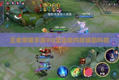 王者荣耀手游XO全功能内核辅助科技