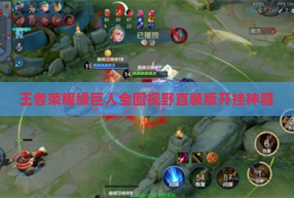 王者荣耀绿巨人全图视野直装版开挂神器