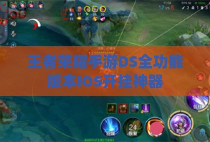 王者荣耀手游DS全功能版本IOS开挂神器