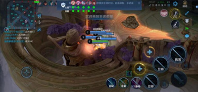 王者荣耀手游DS全功能版本IOS开挂神器